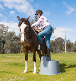 AgBoss - Mount Ease