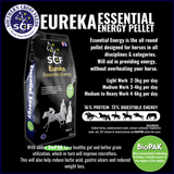 SCF - Essential Energy
