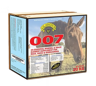 Olsson's Saltlick Horse 007 20kg