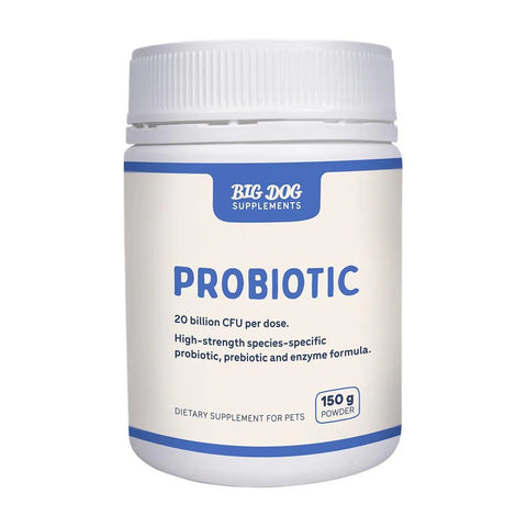 Big Dog Probiotic 150g