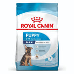 Royal Canin Maxi Large Breed Puppy Chicken