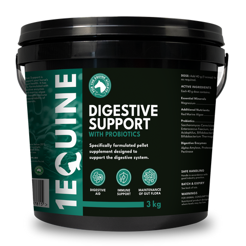 1Equine - Digestive Support 3kg