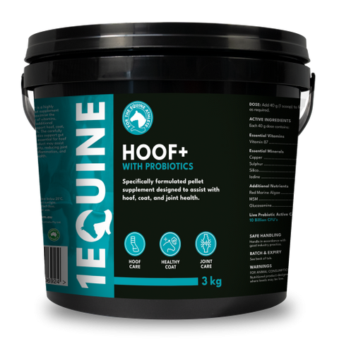 1Equine - Hoof+ 3kg