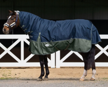 Equine – Tagged 