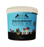 Equilibrium B Cool Mix