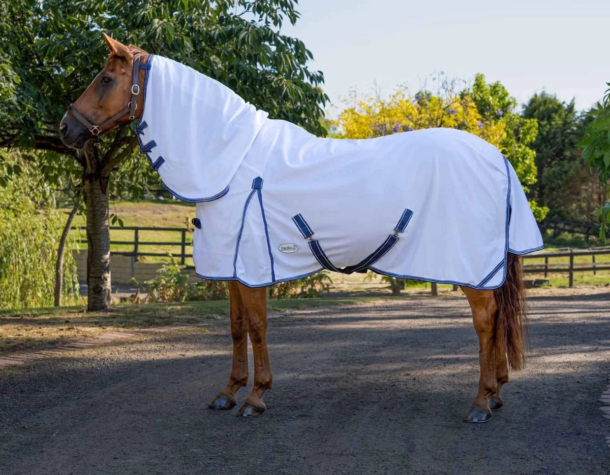 Caribu Enduro Mesh Combo Horse Rug Sea Spray – Petstock Country Brindabella
