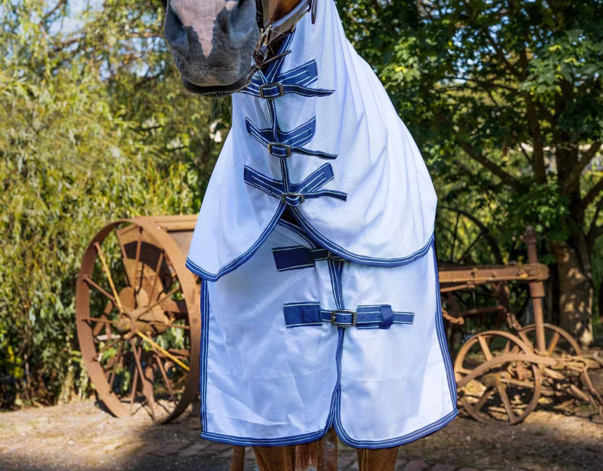 Caribu Enduro Mesh Combo Horse Rug Sea Spray – Petstock Country Brindabella