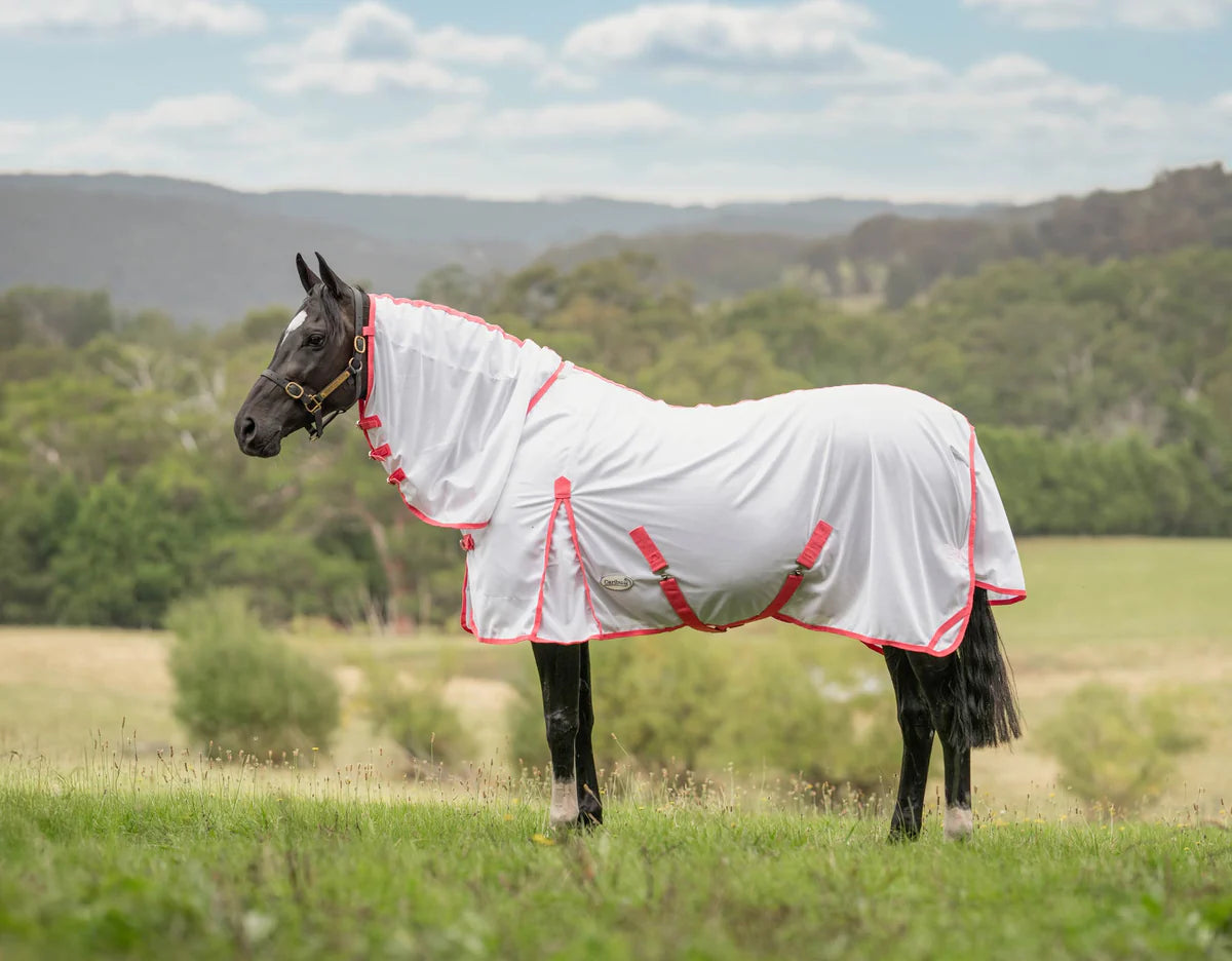 Caribu Euro Mesh Combo Horse Rug Pacific Rose * CLEARANCE * – Petstock ...