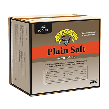 OLSSONS plain salt block 20kg