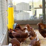 Chook Tower - Feeder