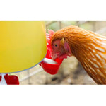 Chook Tower - Drinker