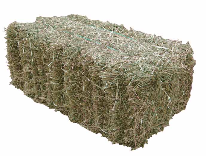 Clover hay bale close-up