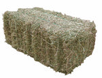 Clover Hay