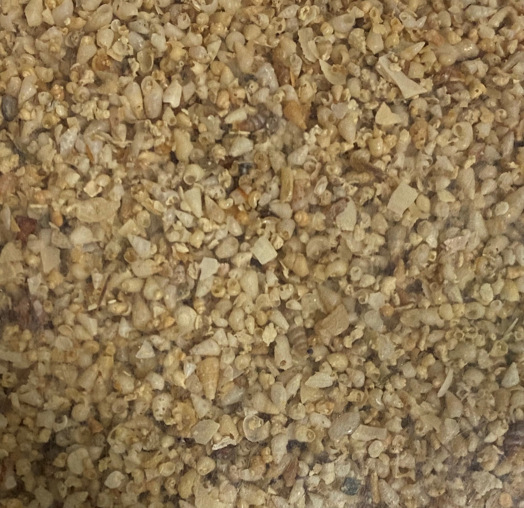 Medium Shell Grit Shell Grit - 1.9kg & 5kg – Petstock Country Brindabella