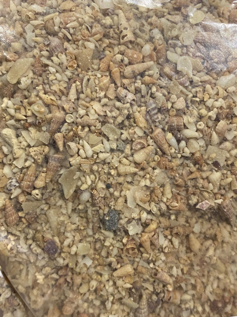 Medium Shell Grit Shell Grit - 1.9kg & 5kg – Petstock Country Brindabella