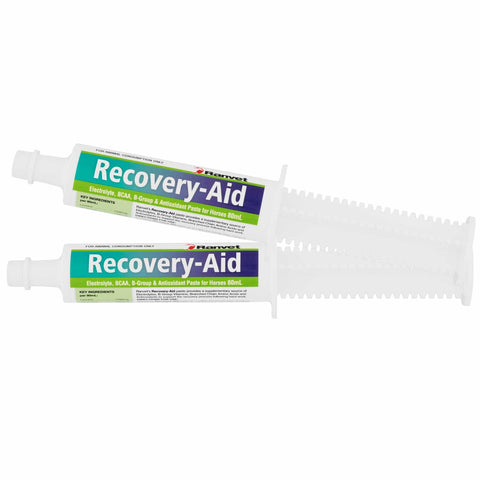 Ranvet Recovery Aid Paste (Formerly Drench) 80ml